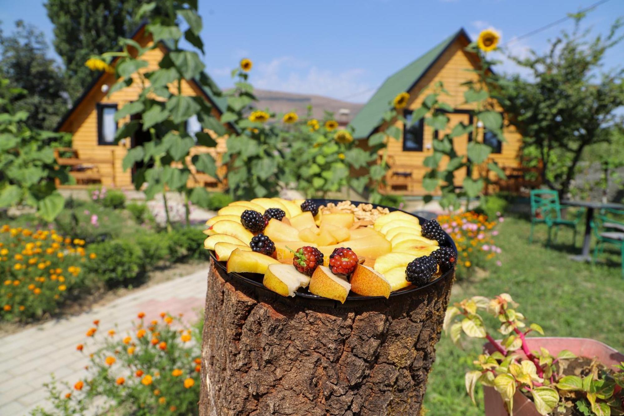 Wood House Berat